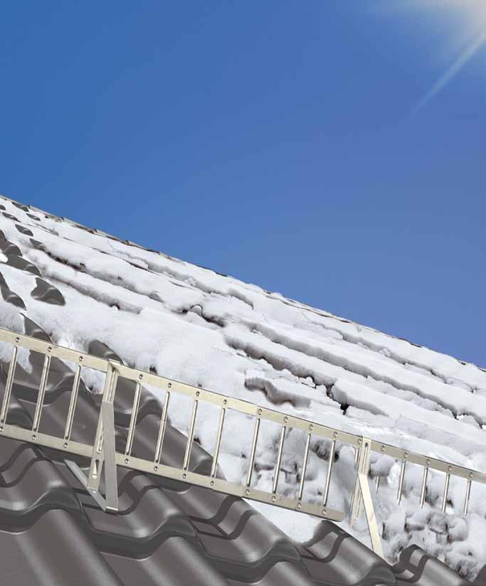 Schneeschutz Mage Roof & Building