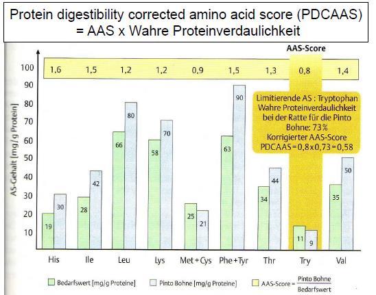 PROTEINWERTIGKEIT Qualität und Quantität der im Protein gebundenen Aminosäuren bestimmen dessen Wertigkeit in der