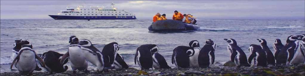 MV Stella Australis - Cruceros Australis - Punta Arenas - Ushuaia Drucken Entdecken Sie die Wunder der südlichsten Kanäle und Fjorde Patagoniens mit Australis - einer Gesellschaft, die