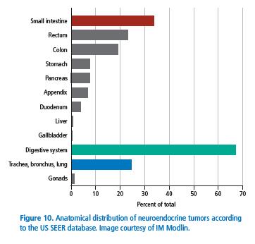 Epidemiologie Gastrointestinale NET 60.9% Bronchopulmonale NET 27.4% Andere Organmanifestation selten Innerhalb GI-NET 19.02.