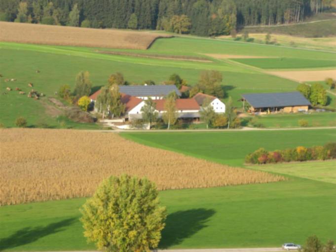 Einkommen von Klein- und Nebenerwerbsbetrieben sind aufzustocken Flächengebunde Tierhaltung ist zu honorieren, ebenso tiergerechte Haltungsformen Dabei soll nicht die Fläche, sondern die Art der