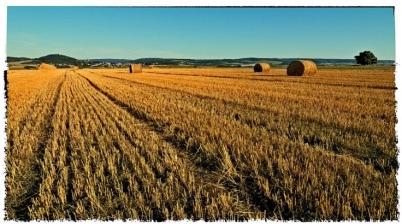 Neujustierung der Agrarpolitik nach 2013: Neue Möglichkeiten