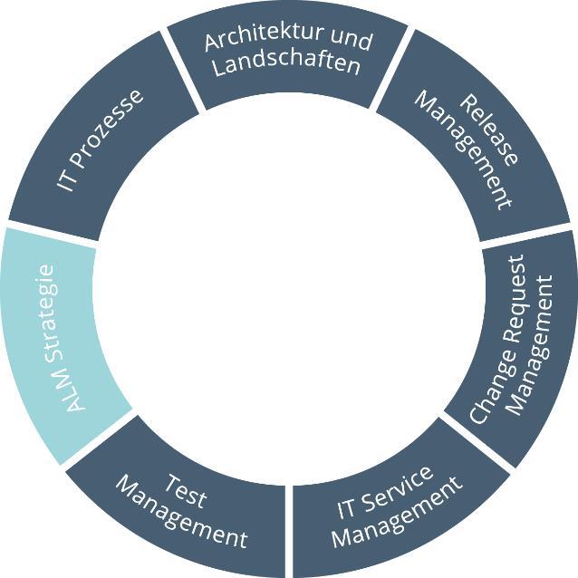 VOSTURA BIETET BERATUNG FÜR DIE STRATEGISCHE AUSRICHTUNG VON IT-ORGANISATIONEN, DIE VERBESSERUNG VON IT -PROZESSEN UND DIE OPTIMIERUNG VON SAP -LÖSUNGSLANDSCHAFTEN.