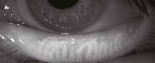 eye) Sensor 1/2,5 Typ CMOS, 5,04 M Pixel Pixelgröße 2,2 x 2,2 µm Bildgröße 2592 x