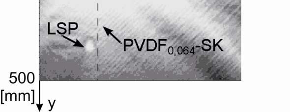 Piezokeramische Sensoren PVDF: PVDF-Sensoren