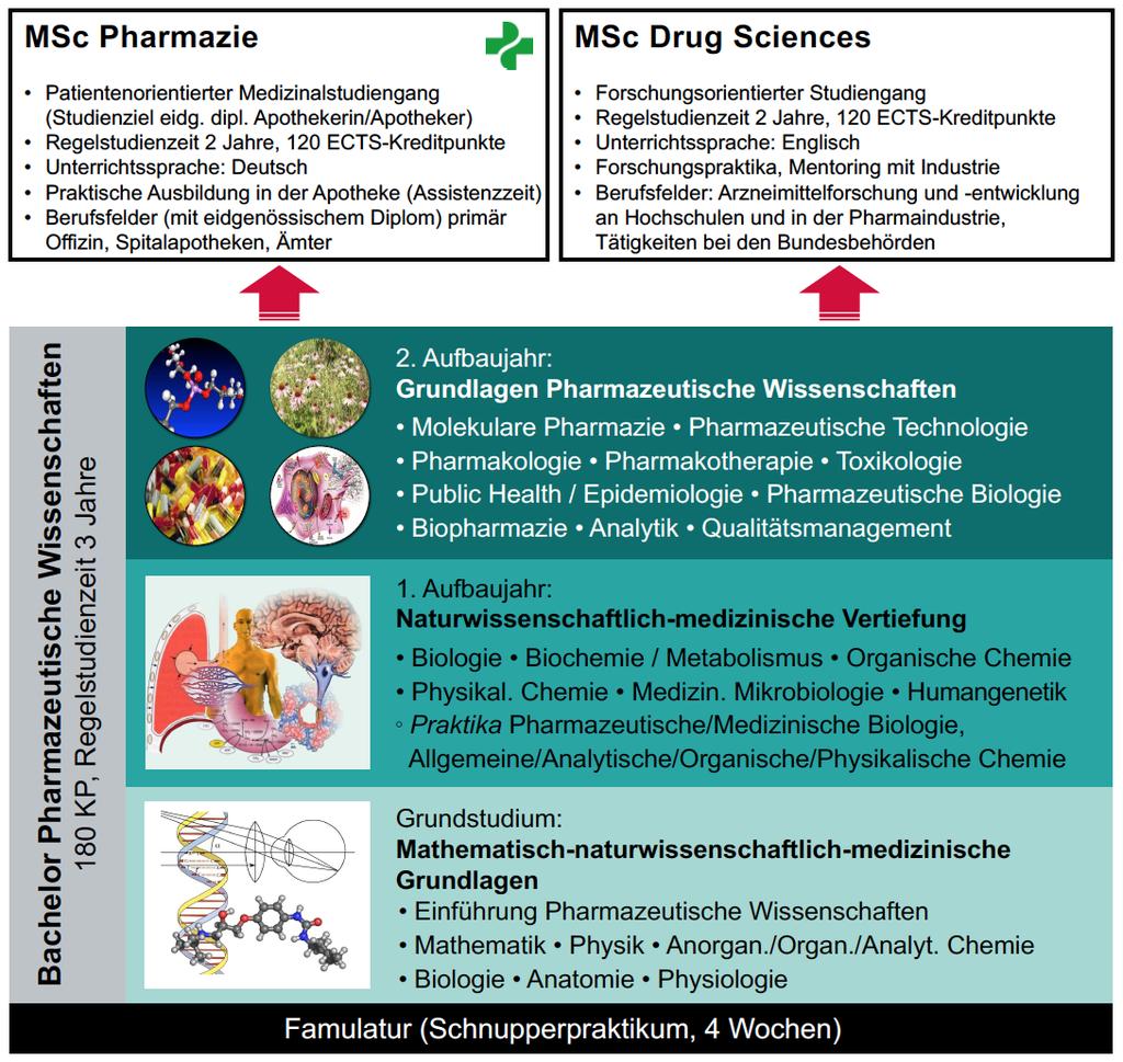 1.4 Weiterstudium und spätere Tätigkeitsbereiche Der Abschluss als Bachelor of Science in Pharmaceutical Sciences berechtigt zum Einstieg in ein Masterstudium im Bereich der Pharmazie und der Drug