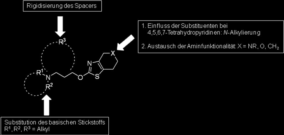 CHEMISCHER TEIL polaren, nicht basischen Sauerstoff bzw. gegen die unpolare Methylengruppe wurden analoge Dihydropyrano- und Tetrahydrobenzothiazole dargestellt.