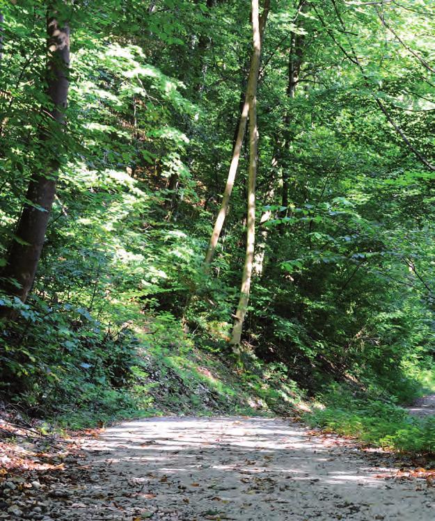 PFLEGE UND BEWIRTSCHAFTUNG DES WALDES IN EINER HAND Im Landkreis Böblingen ist das Amt für Forsten im Landratsamt Ihr kompetenter Ansprechpartner für alle Fragen rund um den Wald.
