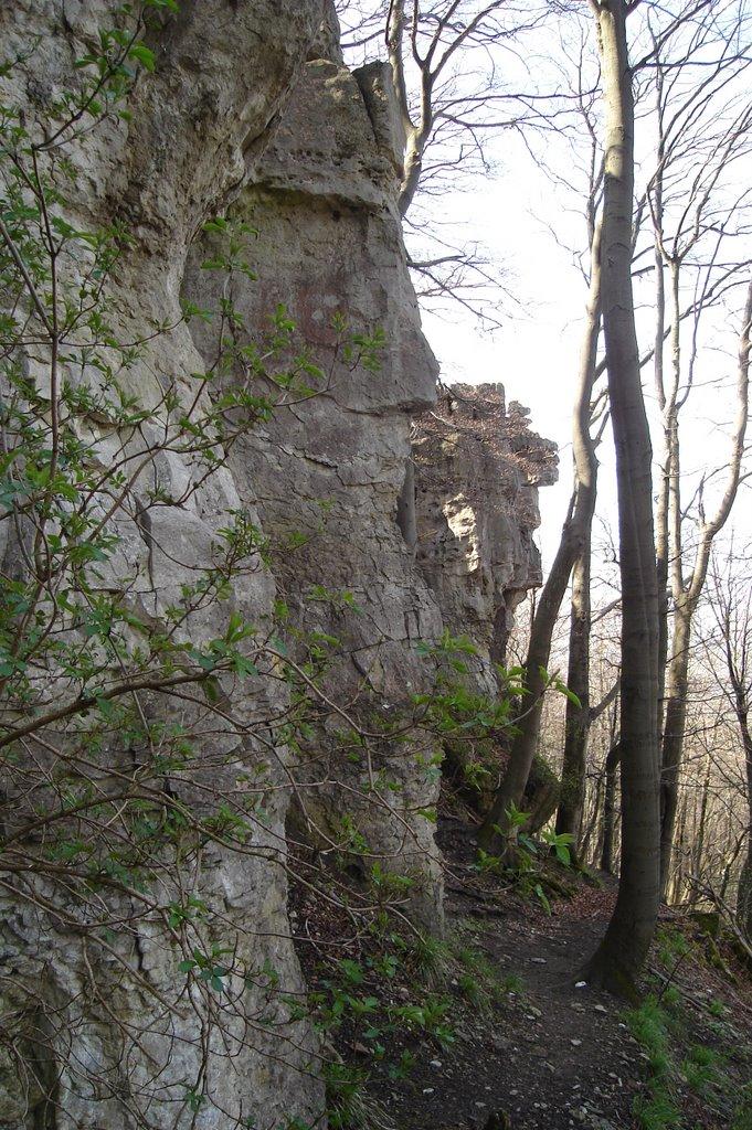 Länge: Start: Hannover-Badenstzedt Steigung: + 2348 m / - 2355 m 82,91 km Verlauf: Springe-Lauenstein-Duingen- Dauer: Ziel: 4 bis 5 Tage Tourbeschreibung Wanderung von Hannover nach auf dem