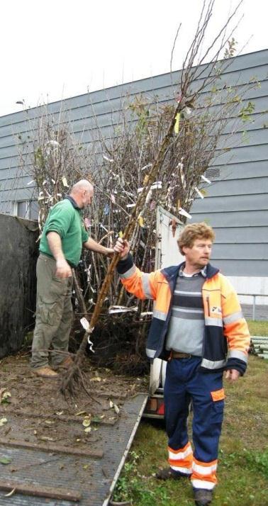 HORTUS, Jahresbericht 2012 1. Erhaltung von Obstsorten Obstbaum-Verkaufsaktion Herbst 2012 Im Jahr 2012 wurde die Obstbaum-Verkaufsaktion zum siebten Mal durchgeführt.