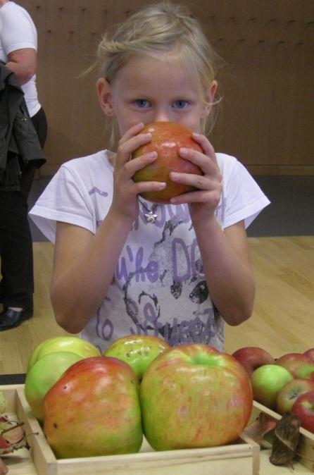 Neben den zahlreichen Apfel- und Birnensorten, die es zu bestaunen gab, konnten Kinder mit einer kleinen Mostpresse ihren eigenen Süssmost herstellen und gleich degustieren.