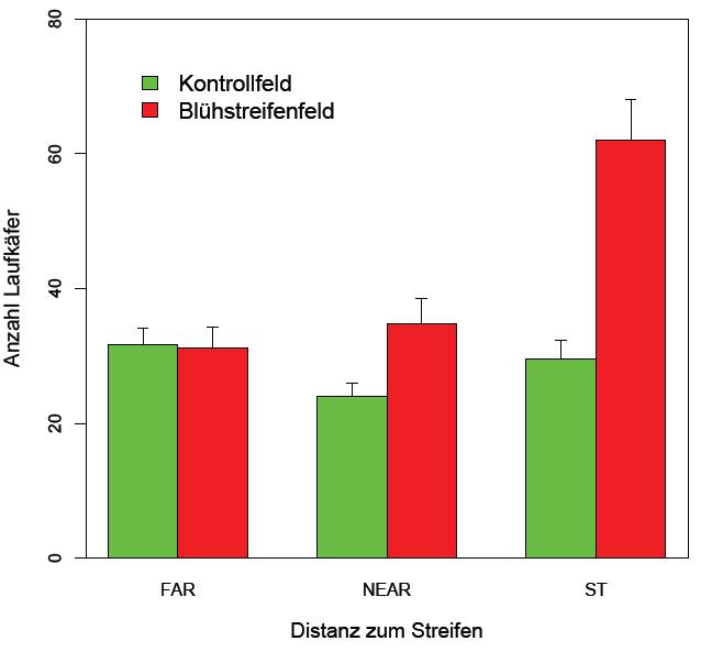 Individuen Diversität 15-24m 4-14m strip 15-24m