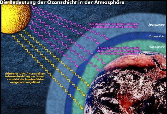 Funktion des Ozonschichtes Absorption der UV-C und UV-B Strahlung Schutz der Biosphere vor harten UV-Strahlung 7 8.