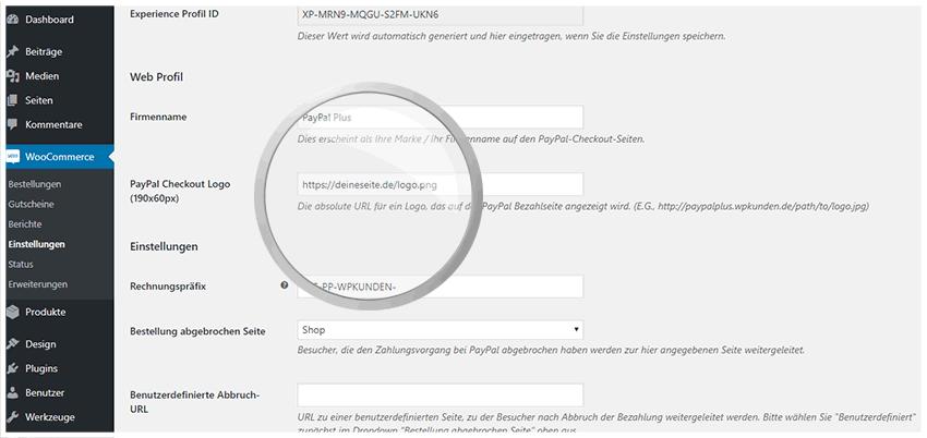 6. Firmenname Tragen Sie Ihren Firmennamen unter Firmenname ein. 7. PayPal Checkout Logo (190x60px) Legen Sie nun die https-source zu Ihrem Logo fest.