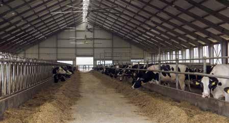Fotos: Heil Die Milchleistung liegt aktuell bei 9 900 l pro Kuh. Die Inhaltsstoffe sind mit 3,5 % Fett und 3,2 % Eiweiß noch sehr niedrig.