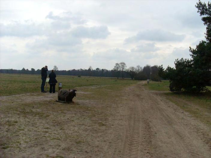 13 PIETZMOOR Parkplätze am Bahnhof Schneverdingen vorhanden es ist auch möglich direkt am Moor zu parken