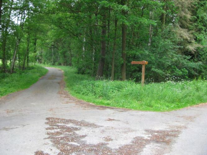 03 NATURDENKMAL EICHE-HAINBUCHE direkt am Standort ist kein