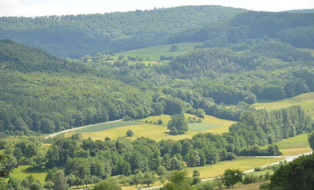 Gliederung 1 Schutzgebiete in der Steuerungslandschaft 2 Systematik 2.1 Übersicht 2.