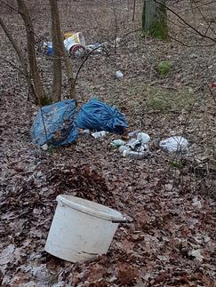 6 Gewässerretter, Umwelt und Müll Da steht ein Klo im Wald und Warum liegt Müll am Wegrand, wir haben doch alle Mülltonnen?