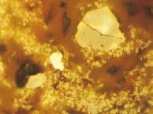 Gold fasziniert natürlich nicht nur die marinen Lagerstättenforscher. Erste Analysen mariner Erze auf Gold waren aber eher ernüchternd.
