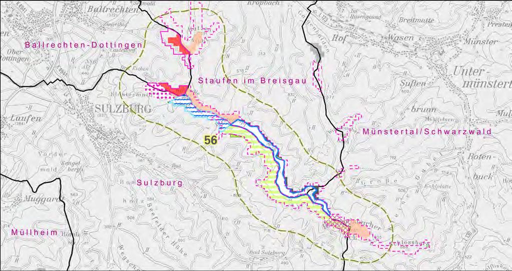 Gebiet Nr. 56 - Rammelsbacher Eck/Riesterkopf Gemeinde(n): Ballrechten-Dottingen.