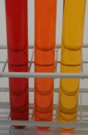 Wird das rote Produkt in eine saure, eine neutrale und eine basische Lösung gegeben, so sind verschiedene Färbungen zu beobachten. 1 2 3 Abb.