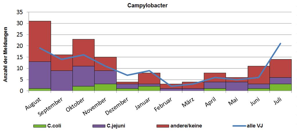 Abbildung 1 Gemeldete Campylobacter-Infektionen nach Erregertypen in bis 31.