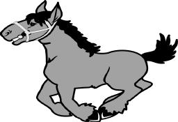 Pony-Erlebnistag Ihr werdet mit fachlicher und qualifizierter Anleitung an den Ponysport herangeführt.