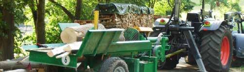 Hier wird das Holz gefällt und für den Abtransport