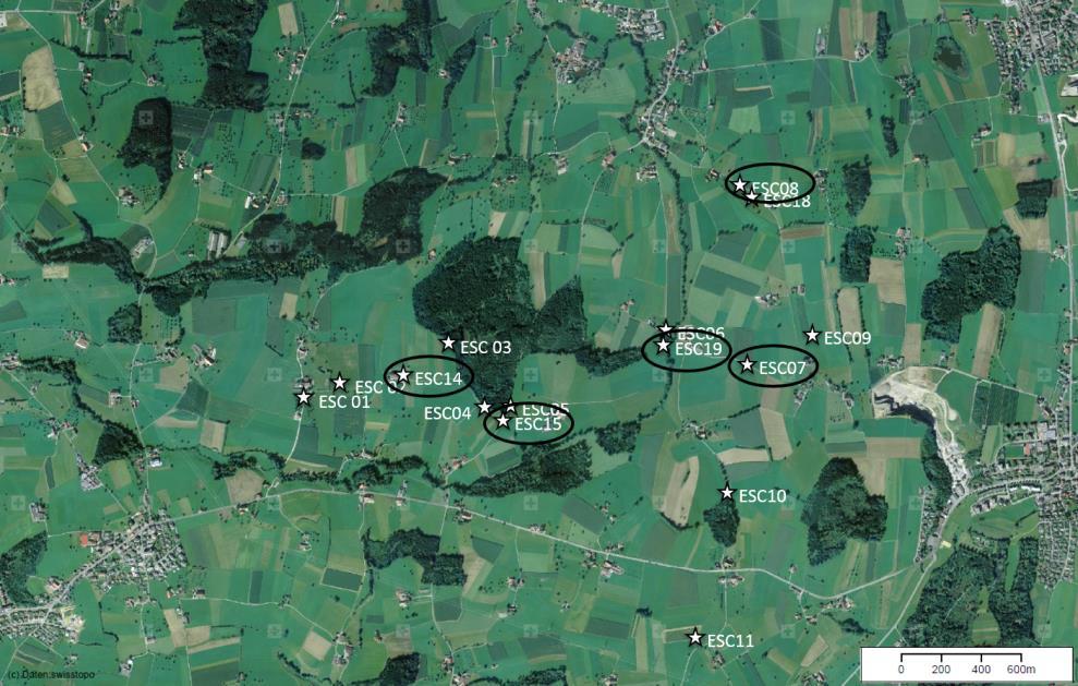 Abbildung 6: Räumliche Übersichtsgrafik des Messgebietes Eschenbach. Schwarze Kreise markieren diejenigen Messpunkte, welche im Jahr 2016 in Betrieb sind.