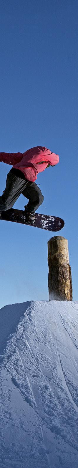 WIR VERFOLGEN GROSSE ZIELE Angebot im Bereich Nachwuchs-Breitensport Freestyle für alle Skiclubs im Oberengadin (Snowboard und Freeski) Professionelle