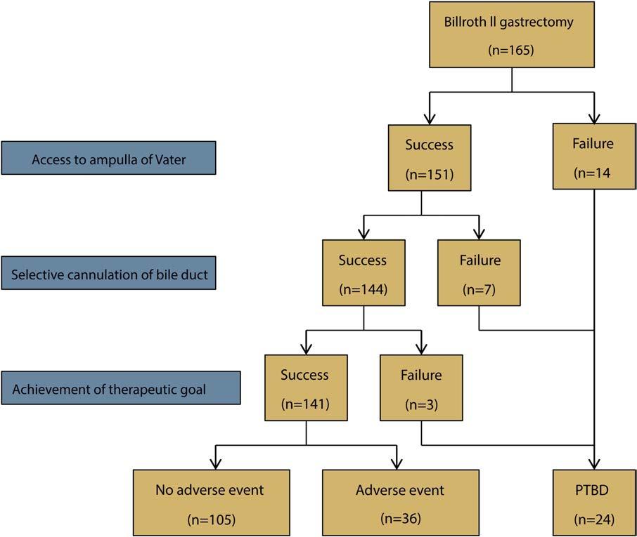 Outcomes of ERCP in Billroth II gastrectomy patients Park,