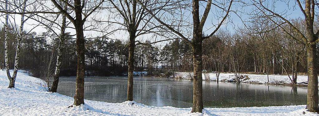 Donnerstag, 8. März 2018 Aus dem Gemeindeleben 15 Maisachs schönste Plätze Der Waldsee in Gernlinden lädt nicht nur im Sommer zum Baden ein.