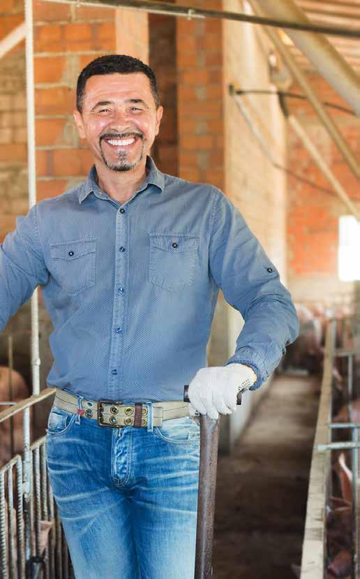 Schweinemast Beste Genetik und gesunde Masttiere sind der Grundstock hoher Mastleistungen.