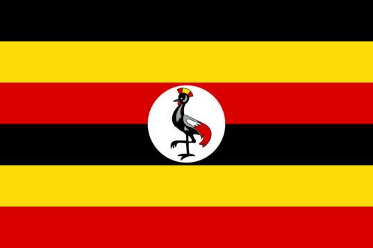 1.3 Das politische System Das politische System Ugandas ist halb-demokratisch, da zwar mehrere Parteien existieren, die Staatspartei National Resistance Movement Organization (NRM-O) allerdings die