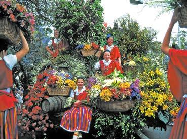 Garten bei Funchal In Funchal Ganzjährige