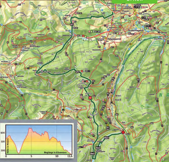 Tour 1: Wanderung auf dem Briloner Panoramaweg Brilon Herrliche, aussichtsreiche Wanderung über eine der schönsten Teilstrecken des Rothaarsteiges und des Briloner Kammweges.