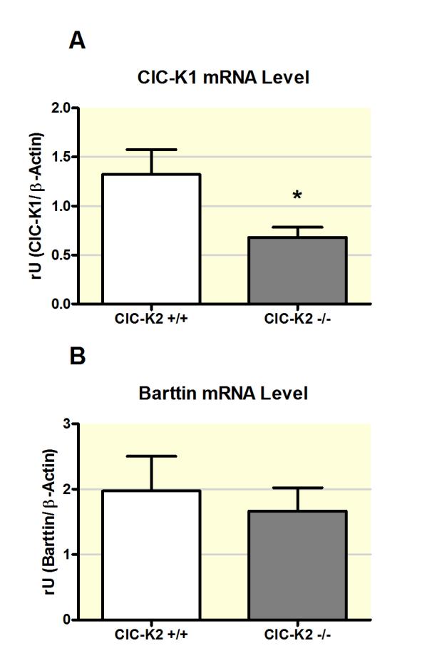 IV. Publikation: Salt-Losing Nephropathy in Mice with a Null Mutation of the Clcnk2 Gene -Grill et al. 2016 Acta Physiologica 80 Figure 12. Renal mrna expression ClC-K1 and Barttin.