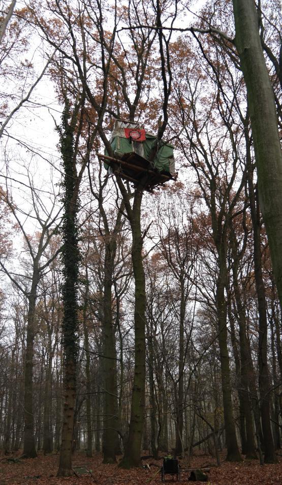 3 4. Standort und Lage der Bäume Die Bäume befinden sich im Hambacher Forst und sind vom Eigentümer als Baumhaus 2 (Eiche) und Baumhaus 3 (Buche) beschriftet worden und damit in der Fläche eindeutig