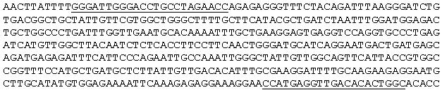 43 2.12 Bestimmung der Expression der Isocitratlyase Die Bestimmung der Expression der Isocitratlyase (ICL) erfolgte mittels RT-PCR auf der Basis von Gesamt-RNA, die aus Rohkaffeebohnen extrahiert