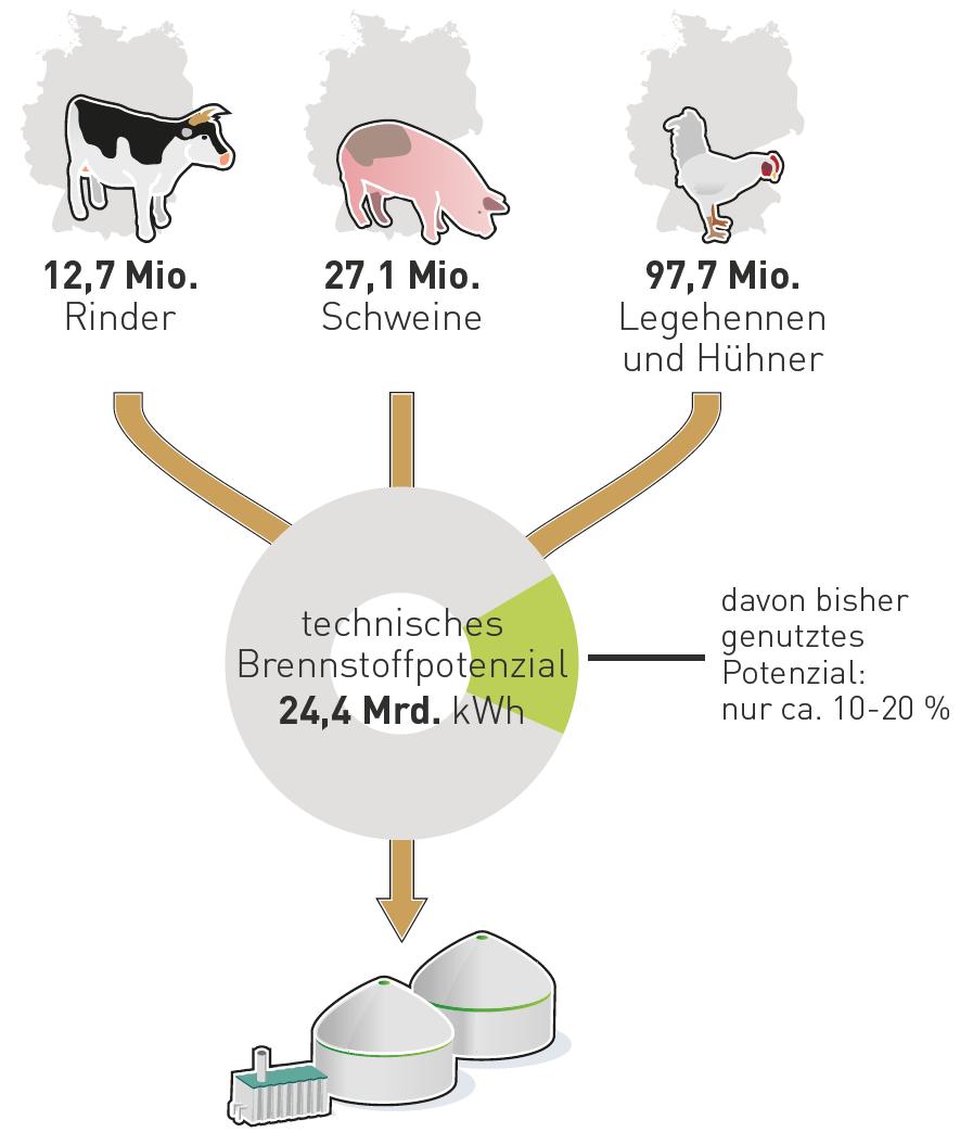 In Gülle und Mist steckt noch viel Energie Mit den Exkrementen der in Deutschland gehaltenen Rinder, Schweine und Hühner können 1 Jahr lang 2.