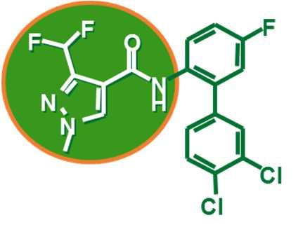 Fluopyram - ein Benzamid optimiert die erfolgreiche Xpro - Chemie Prothioconazol Bixafen Fluopyram 100% des