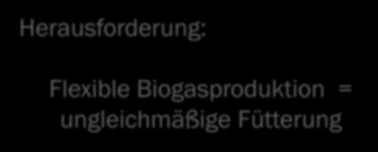 h Herausforderung: Biogas Flexible