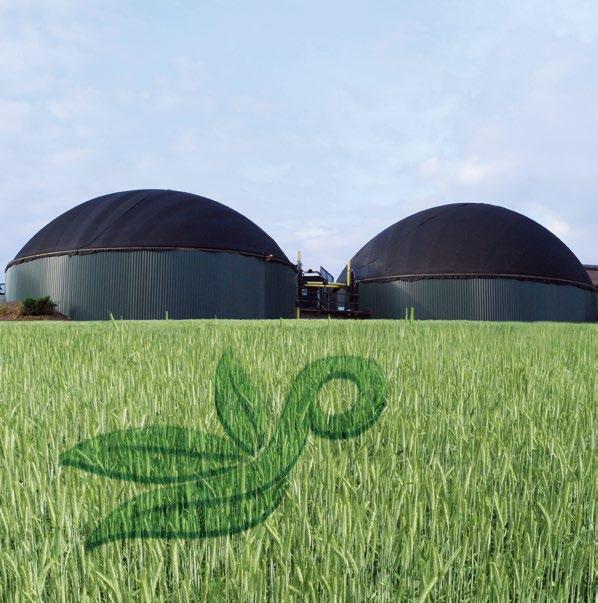 Energiemischung Planterra EMU 010 Triple Energy Massenhaft Energie mit Massimo Triple Energy ist eine speziell konzipierte Ganzpflanzen silagemischung für die Biogaserzeugung.