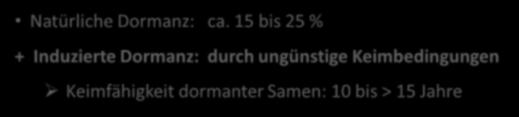 dormanter Samen: 10 bis > 15 Jahre Warum ist Altraps so gefährlich?