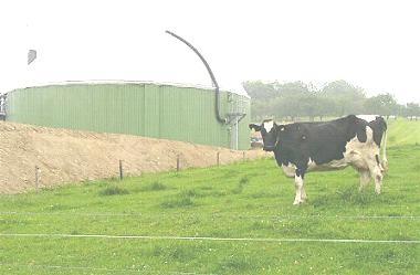 Grundlagen 22 Potential nach PEESA landwirtschaftliche Biomasse - Biogas Technisches Potential