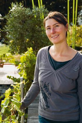 Das leere Glas riecht intensiv pfefferig, wahrscheinlich etwas weniger Botrytis als 2008.