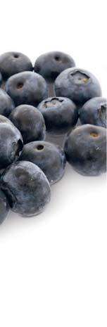 50 Blueberries Schale à 250 g