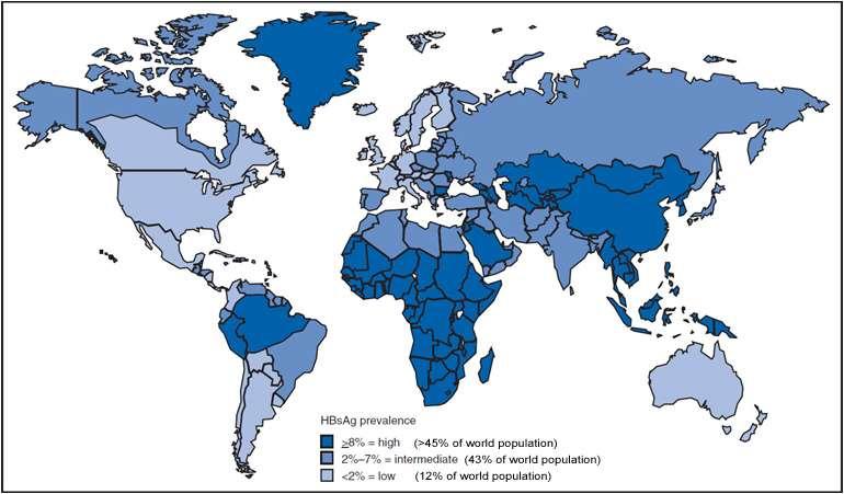 Übertragung Hepatitis A fäko-oral, meist unsauberes Trinkwasser Infizierte Personen Hepatitis E fäko-oral, meist unsauberes Trinkwasser Wildtiere als Reservoir Suchtest HAV-IgM HEV-IgG, HEV-PCR