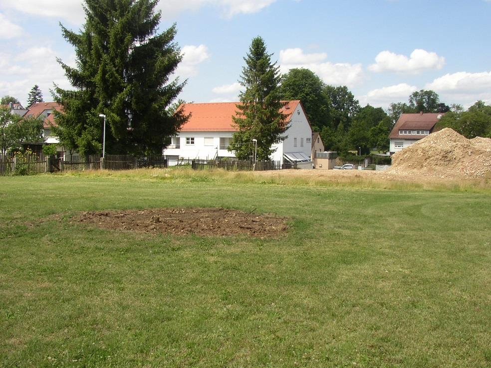 Artenschutz- VU zum B-plan Sonnengarten in Altdorf 7 Abbildung 5 Hintergrund Nachbargrundstücke mit Koniferen, im Vordergrund das abgeräumte Gelände.